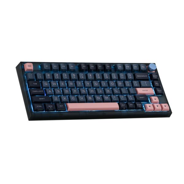 SKYLOONG GK75 75% Clavier Mécanique Filaire EPOMAKER
