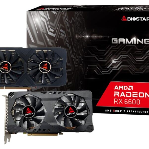RX6600 Raderon biostar