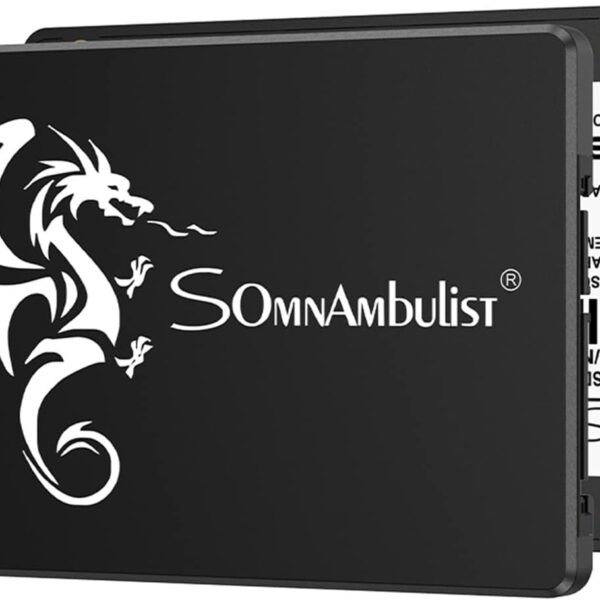 SSD SATA 256GB SOMNAMBULIST (En configuration seulement)