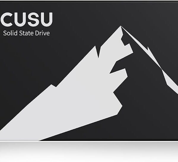 SSD 1TB SATA CUSU C300 (En configuration seulement)