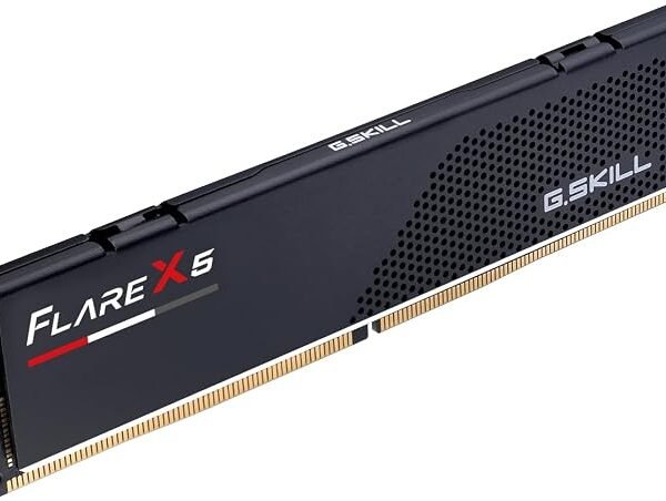 RAM 16G(1X16) DDR5 600MT/S G SKILL FLARE X5 CL36 (En configuration seulement)