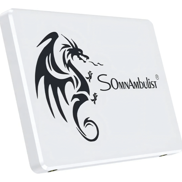 SSD 256GB SATA SOMNAMBULIST (En configuration seulement)